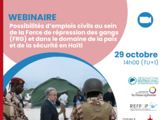 Webinaire – Possibilités d’emplois civils au sein de la Force de répression des gangs (FRG) et dans le domaine de la paix et de la sécurité en Haïti